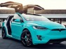 tsportline-tesla-model-x-2