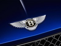 bentley-centenary-design-logo-1