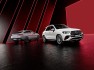 Mercedes-AMG GLE 53  HYBRID 4MATIC+

Mercedes-AMG GLE 53  HYBRID 4MATIC+